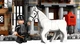 Конструктор LEGO Harry Potter Деревня Хогсмид — коллекционное издание 3228 деталей (76457) - изображение 10