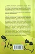 Люко Дашвар - Ініціація - изображение 7
