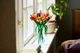 Конструктор LEGO Botanicals Букет тюльпанів 576 деталей (11501) - зображення 5
