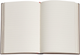 Записная книжка Paperblanks Фея Вьюнка 18х23 см 144 страницы в линейку (9781439799147) - изображение 2