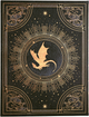 Записная книжка Paperblanks Четвертое крыло – Тени Наварры 18х23 см 144 страницы в линейку (9781439799864) - изображение 5