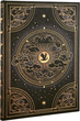 Записная книжка Paperblanks Четвертое крыло – Тени Наварры 12х18 см 144 страницы нелинованная (9781439799895) - изображение 1