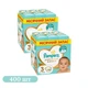 Дитячі підгузки 400 шт Pampers Premium Care розмір 3 (6-10 кг) - зображення 1