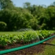 Шланг для полива плоский с коннектором PROGARDEN, d=2,1 см, 15 м - 705084 - изображение 3