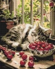 Алмазная мозаика Origami Котенок на окне 40х50 см (OD3510) - изображение 1