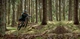 Велосипед гірський (MTB) Kellys Gibon 10 27.5 2023 Gray - изображение 4