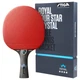 Ракетка для настольного тенниса Stiga Royal Crystal 4 Star FL (1214-2818-01) - изображение 1