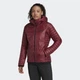 Жіночі куртка Terrex Techrock Primaloft Insulated Padded туристична червоний M - зображення 1
