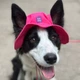 Панама для собак Hat-Dog S - малиновий - изображение 4