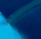 Професійна 2:1 тефлонова прозора трубка розмір 6,0/3,6 мм PTFE для герметизації та ізоляції кабелів 1м.п - зображення 3