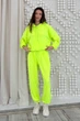 Жіночий спортивний костюм (кофта+штани) Nenka XL Салатовий (nenka3396-XL) - изображение 1