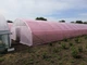 Теплица Экстра 50 х 8 х 3.35 м Под 1 Слой Пленки - изображение 8
