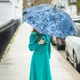 Жіноча парасолька класу Люкс Fulton Diamond L850 Princess Princess Navy Rose (Сині троянди) - зображення 9