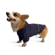 Дощовик для собак Noble Pet Moss XL-Long - зображення 2