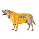 Дощовик для собак Noble Pet Moss Bravery XL - зображення 5