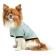 Pet Fashion Oscar футболка для собак XXS - изображение 2