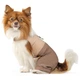 Pet Fashion Darcy шлейка-костюм для собак S - зображення 2