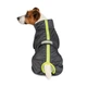 Дощовик для собак Pet Fashion Rain XS такса - изображение 3