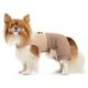 Pet Fashion Darcy шлейка-костюм для собак S - зображення 1