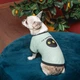 Pet Fashion Oscar футболка для собак S - изображение 4