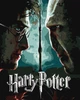 Картина по номерам Ideyka WB Harry Potter: Гарри и Волдеморт с красками металлик extra 40х50 см (KHO5222) - изображение 1