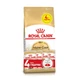 Набір кормів для котів Royal Canin Maine Coon Adult 2 кг + 4 pouch вологого корму - домашній птах - зображення 1