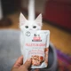 Вологий корм для котів Brit Care Cat pouch 85g (філе індички та лосося в соусі) - зображення 3