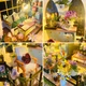 Конструктор румбокс для DIY цветочный домик дарси - изображение 8