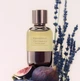 Парфуми унісекс Brunello Cucinelli Soffio Zenit 100 мл - зображення 4