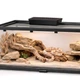 Інфрачервона нагрівальна панель для тераріуму Terrario AeroTherm 16W 15.6x10x2.9см - зображення 4