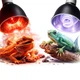 Світильник глибокий рефлекторний Terrario LUNOONE 2.0 E27 100W для локального обігріву тераріумів - зображення 9