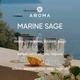Віддушка MARINE SAGE 10 гр - для свічок, аромадифузорів, рум-спреїв - изображение 2