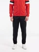 Спортивный костюм мужской Puma Teamrise Trg 65903601 L Red (4099685470112) - изображение 4