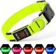 Світлодіодний нашийник для собак Illumifun LED USB (Розмір M) Green - зображення 1