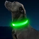 Світлодіодний нашийник для собак Illumifun LED USB (Розмір M) Green - зображення 5