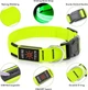 Світлодіодний нашийник для собак Illumifun LED USB (Розмір M) Green - зображення 7