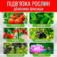 Степлер для подвязки садовый тапенер для подвязки винограда для растений деревьев с тейпами 1 шт и скобами 100 шт - изображение 3
