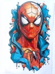 Термонаклейка для одягу Спайдермен Людина павук SpiderMan (#0771-ПР) - изображение 1