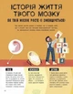 Ця книжка повна мізків. Усілякі мізки та як вони працюють - Тім Кеннінгтон - зображення 6