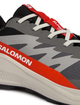 Кросівки для бігу Salomon Alphaglide Gore-Tex L47975300 42, сір/пом. - изображение 4
