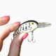 Воблер Daiwa Peanut II DR, White Coach Dog - изображение 3