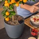 Вазон Lechuza Classico Color Eco 43 сірий 18943 - зображення 8