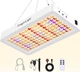 Фітолампа для рослин DragonLight BW3000 повний спектр таймер 8 12 16 годин ріст рослин - зображення 1