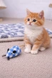 Мышка игрушка с мятой хвостиком для котика котят 14 см разноцветная - изображение 1