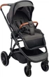 Візок прогулянковий Caretero Ratio темно-сірий 93 x 59 x 113 см (5908310397214) - зображення 1
