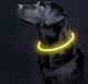 Светодиодный ошейник для собак и кошек Purlov 24200 с USB зарядкой — LED ошейник регулируемый - изображение 11