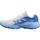 Кроссовки Salomon ALPHAGLIDE 5 Women Ancientwater/Brunnerablue - изображение 2