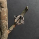 Серебряное кольцо с фианитами 0.26ct, вес изделия 1,88 гр (2197706) - изображение 3