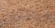 Матрац Sensillo Гречка-піна-кокос 120x60x11 см (5902021523719) - зображення 5