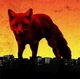 The Prodigy – The Day Is My Enemy (2015) Audio CD - изображение 1